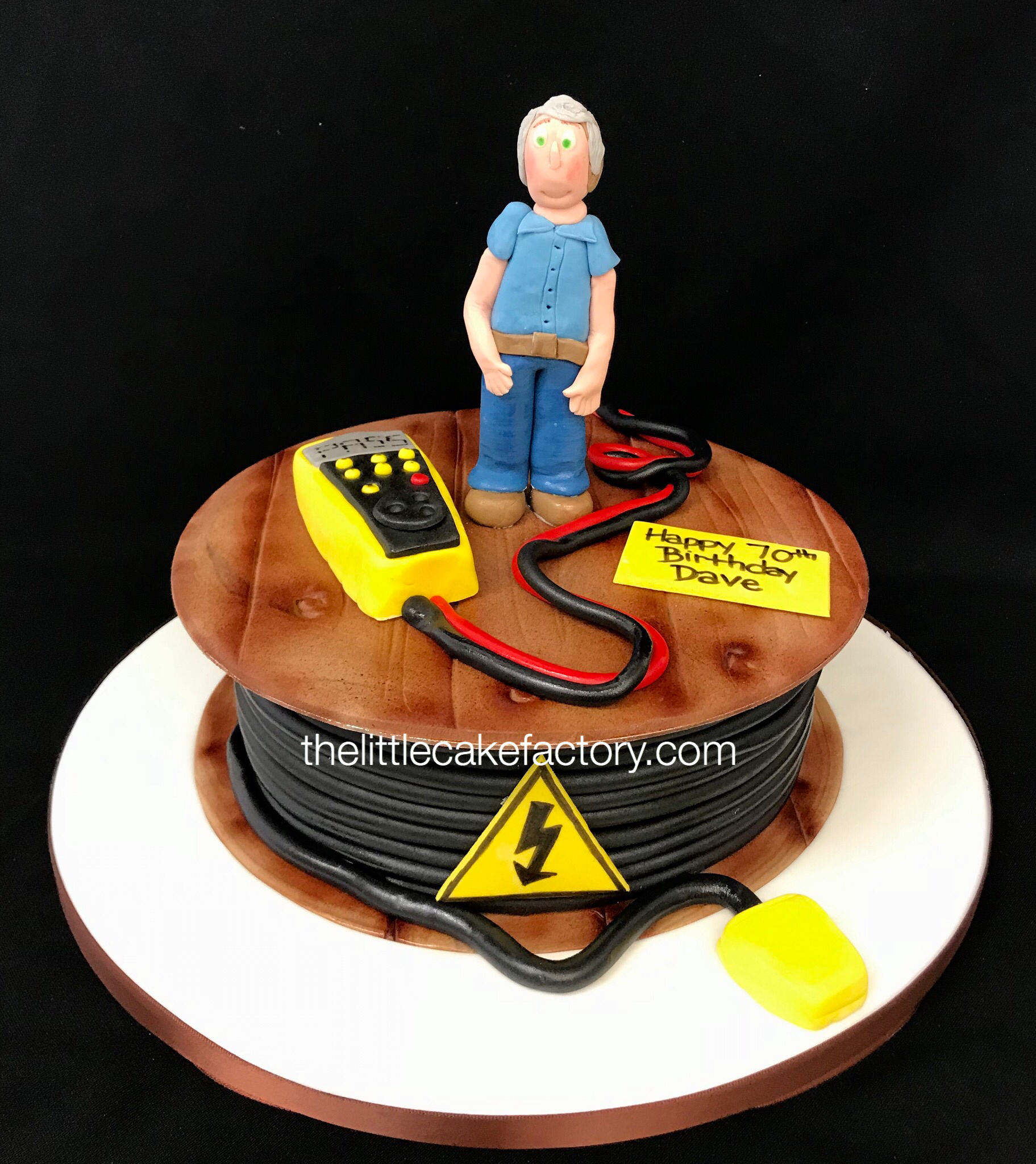 Electrician Cake  Cake | Novelty Cakes
