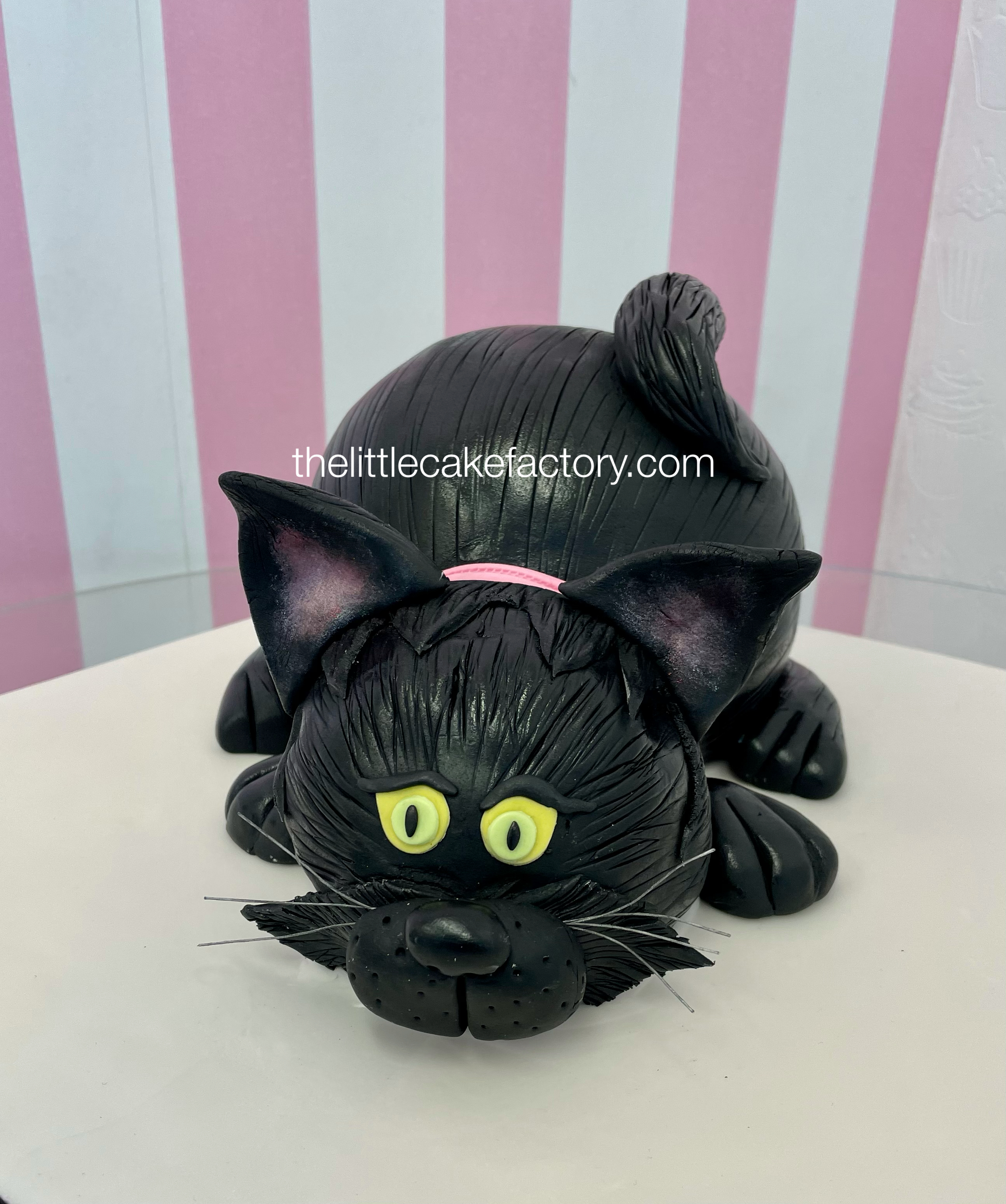 black cat cake Cake | Novelty Cakes