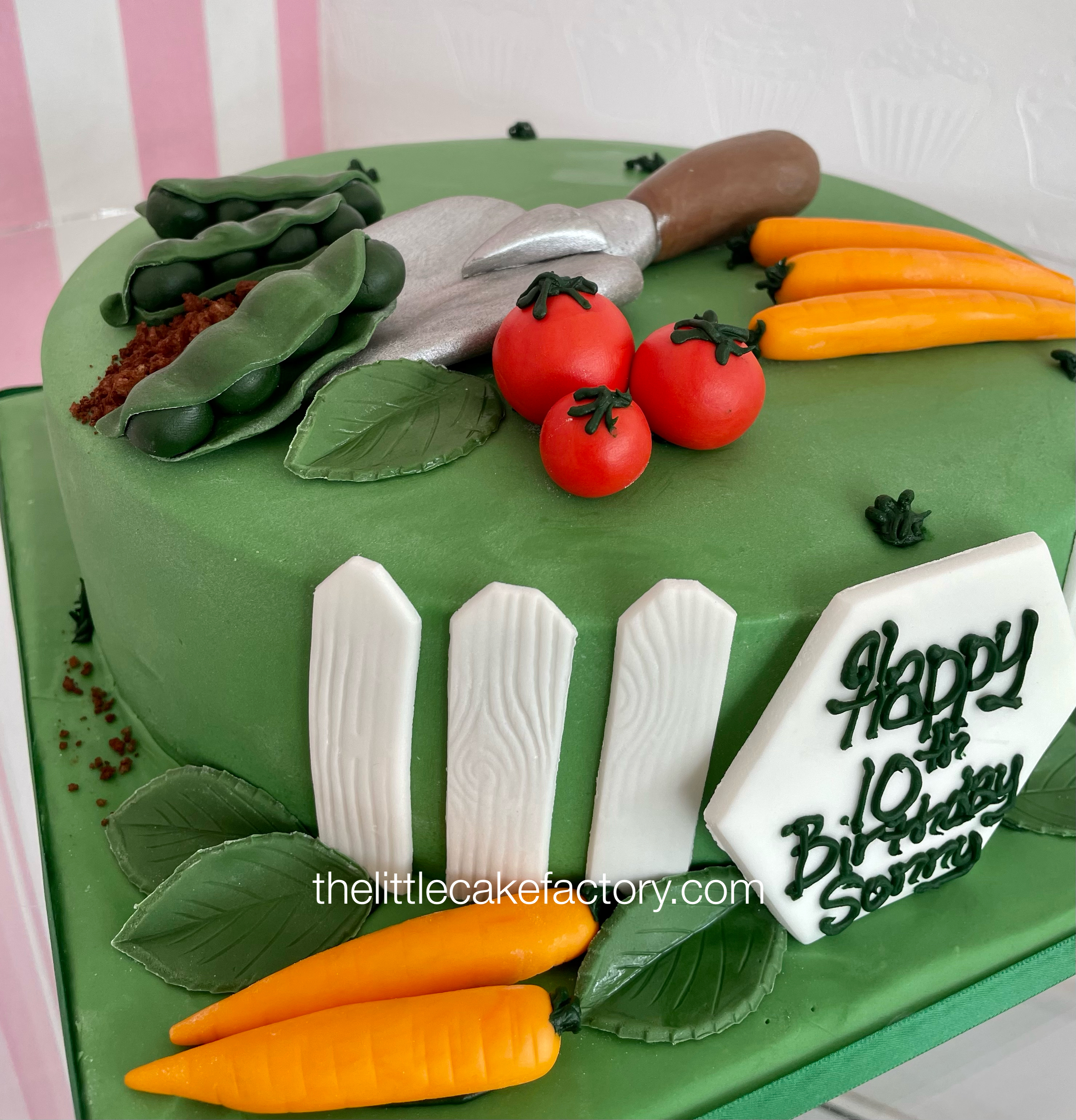 garden veggie patch cake Cake | Children Cakes