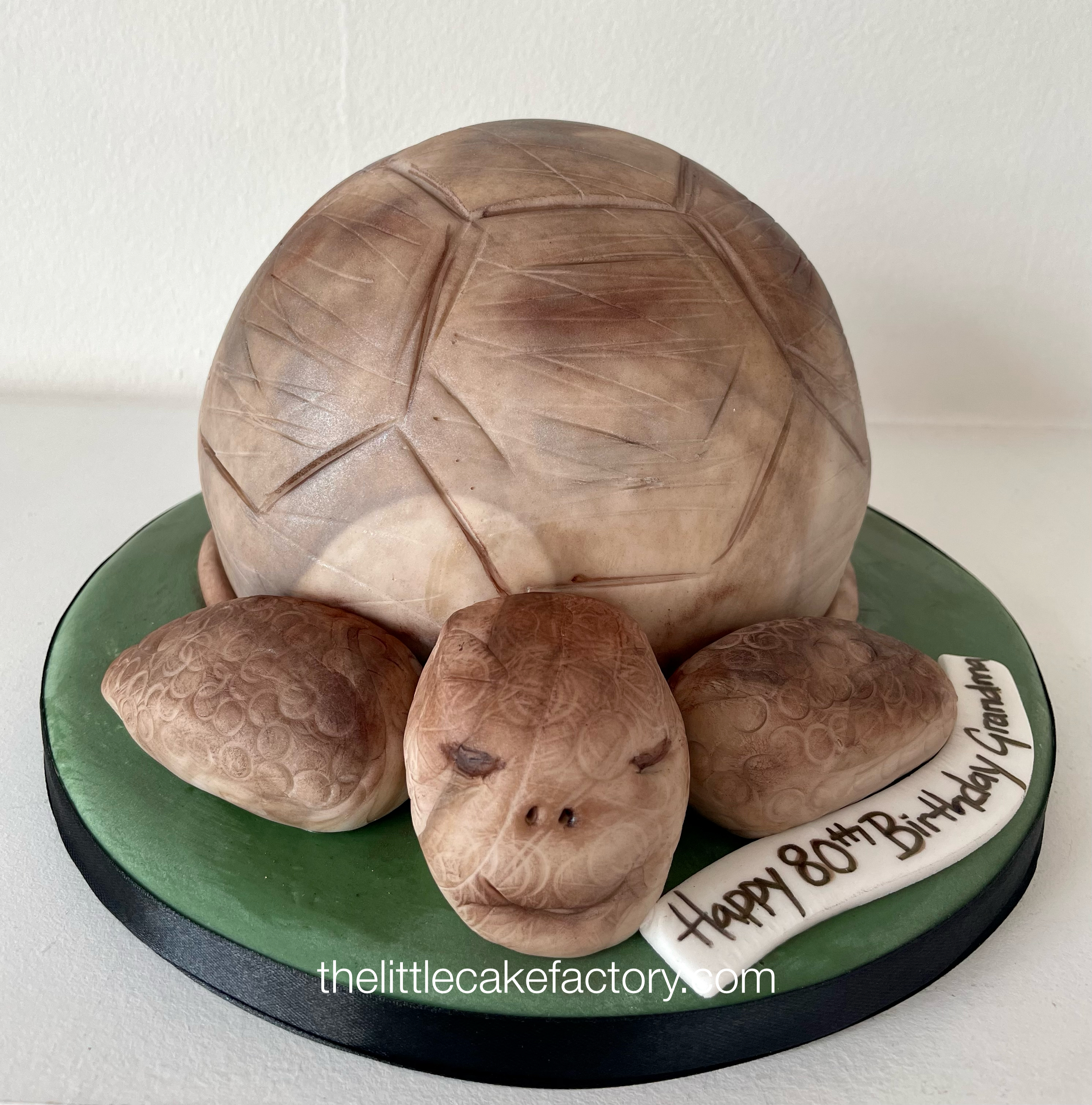 tortoise cake Cake | Novelty Cakes