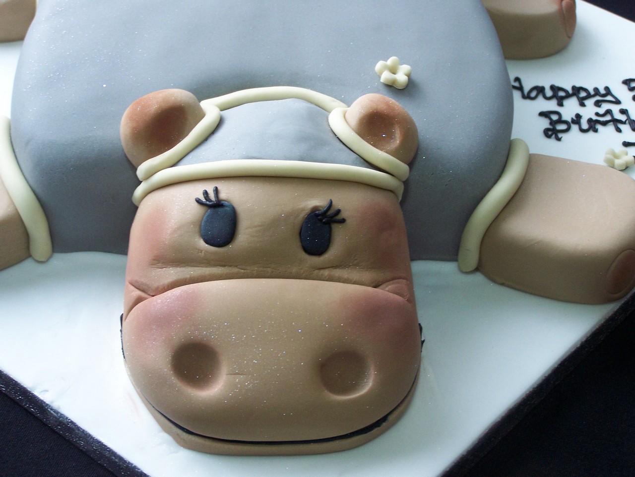 Hippo Cake | Novelty Cakes