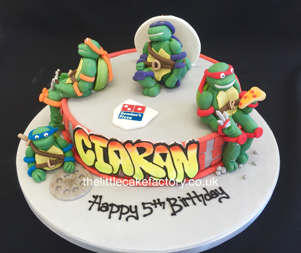 Turtles Cake |  Cakes