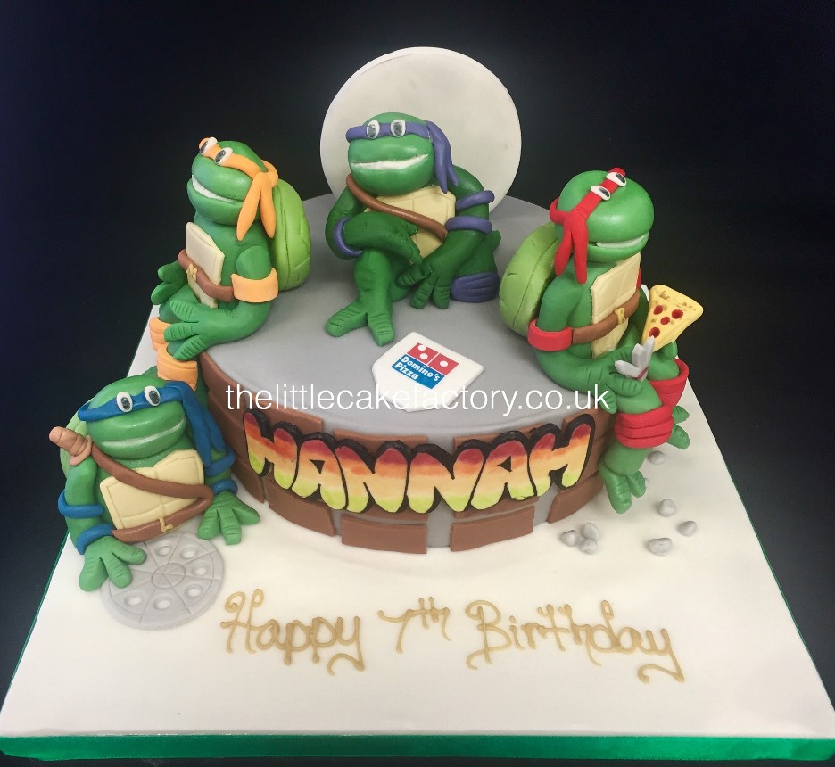 Turtles 3rd Edition  Cake |  Cakes