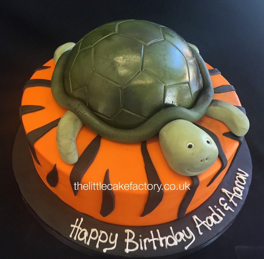 Turtle/Tiger Cake |  Cakes